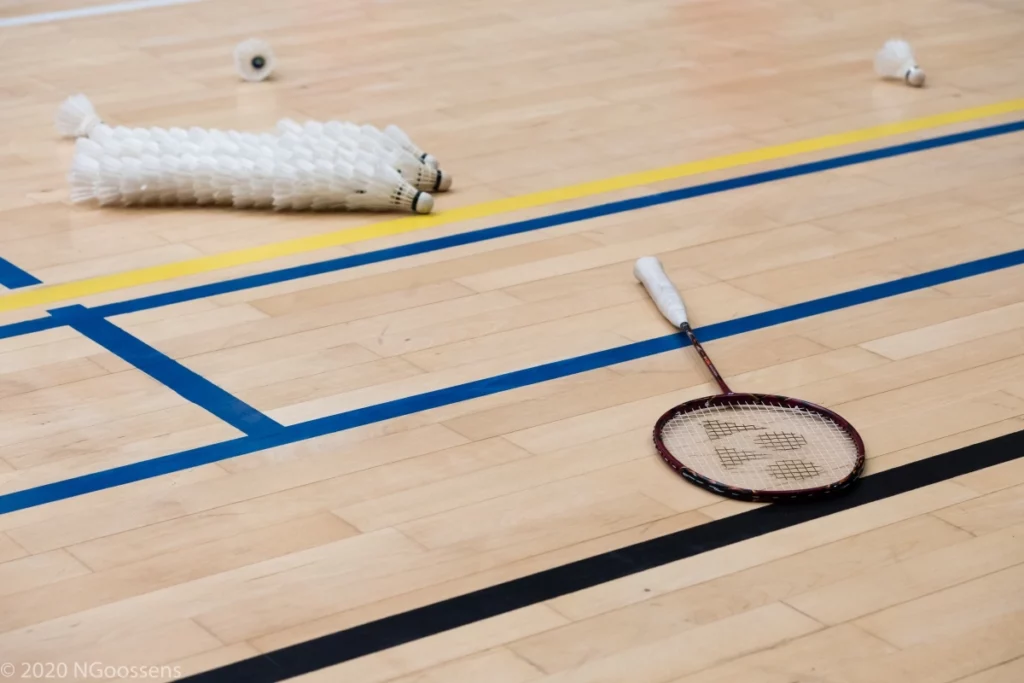 Volants raquette badminton